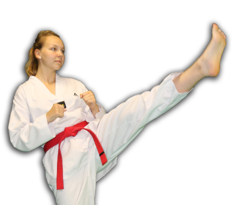 Proč taekwondo?